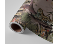 N°194 Papier peint Le tigre sur sa branche