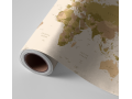 N°216 Papier peint Planisphère encadré