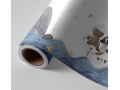 N°223 Papier peint Les petits pirate