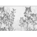 Papier peint N&deg;104 - Bois d'argent