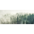 Papier peint panoramique N&deg;142 - Brume Enchant&eacute;e