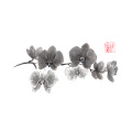 Papier peint panoramique N&deg;152 - Orchid&eacute;e douce